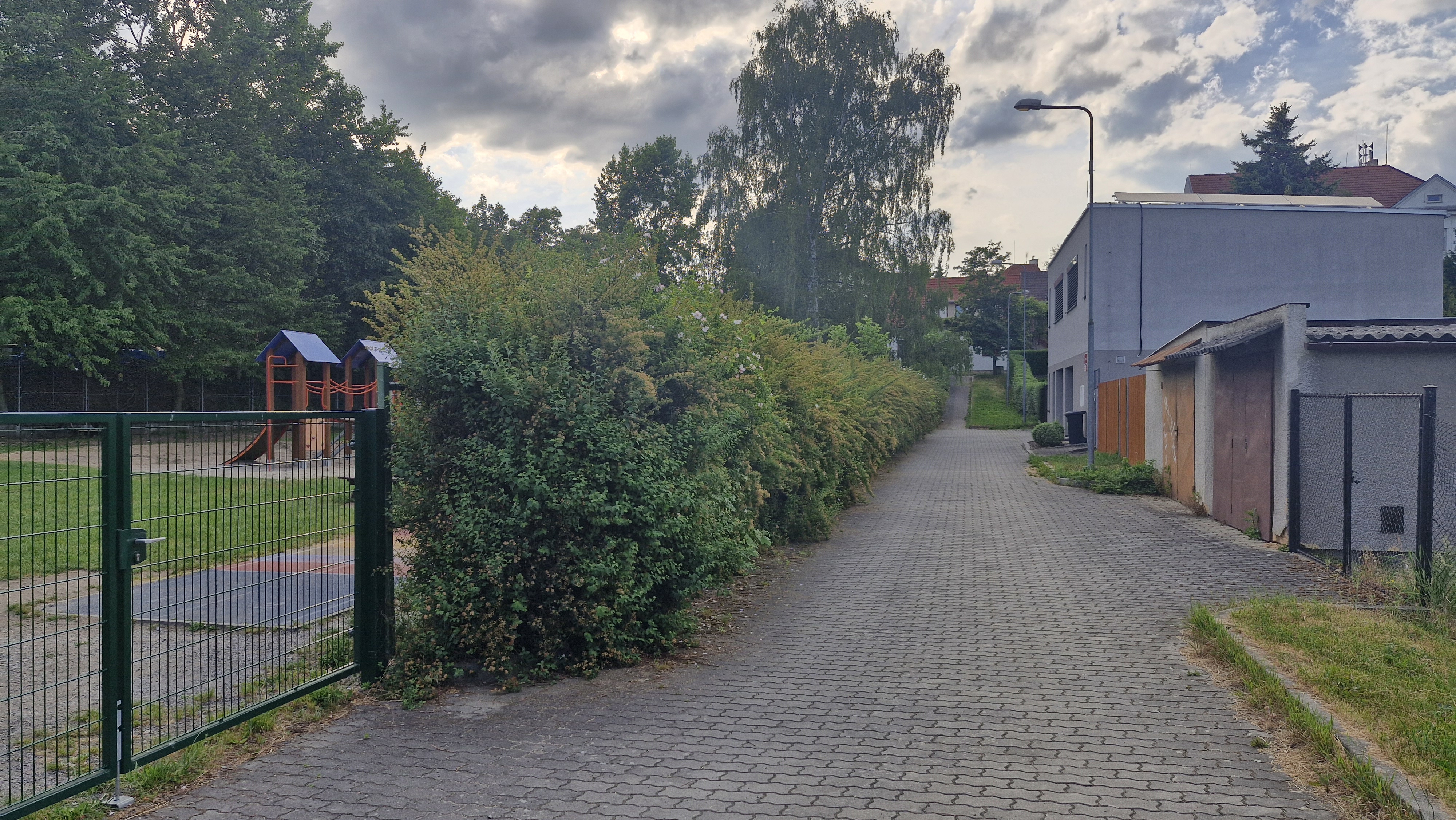 Živý plot
