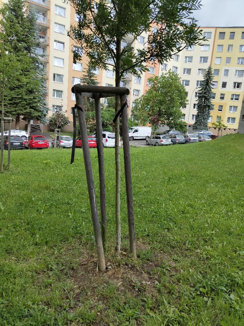 Zborcená opora