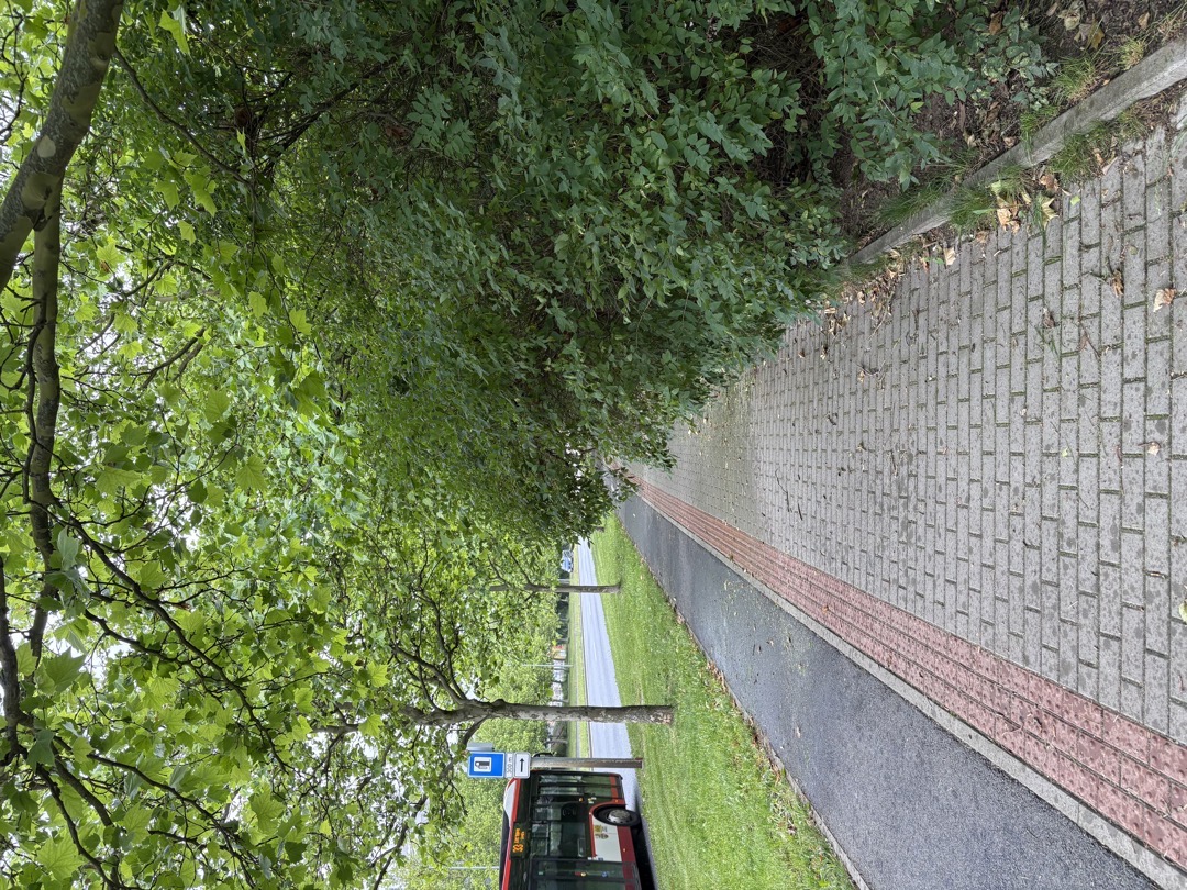 Fotografie nahlášení