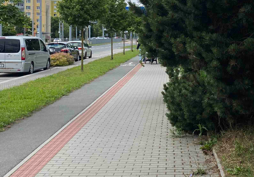 Ořez větví