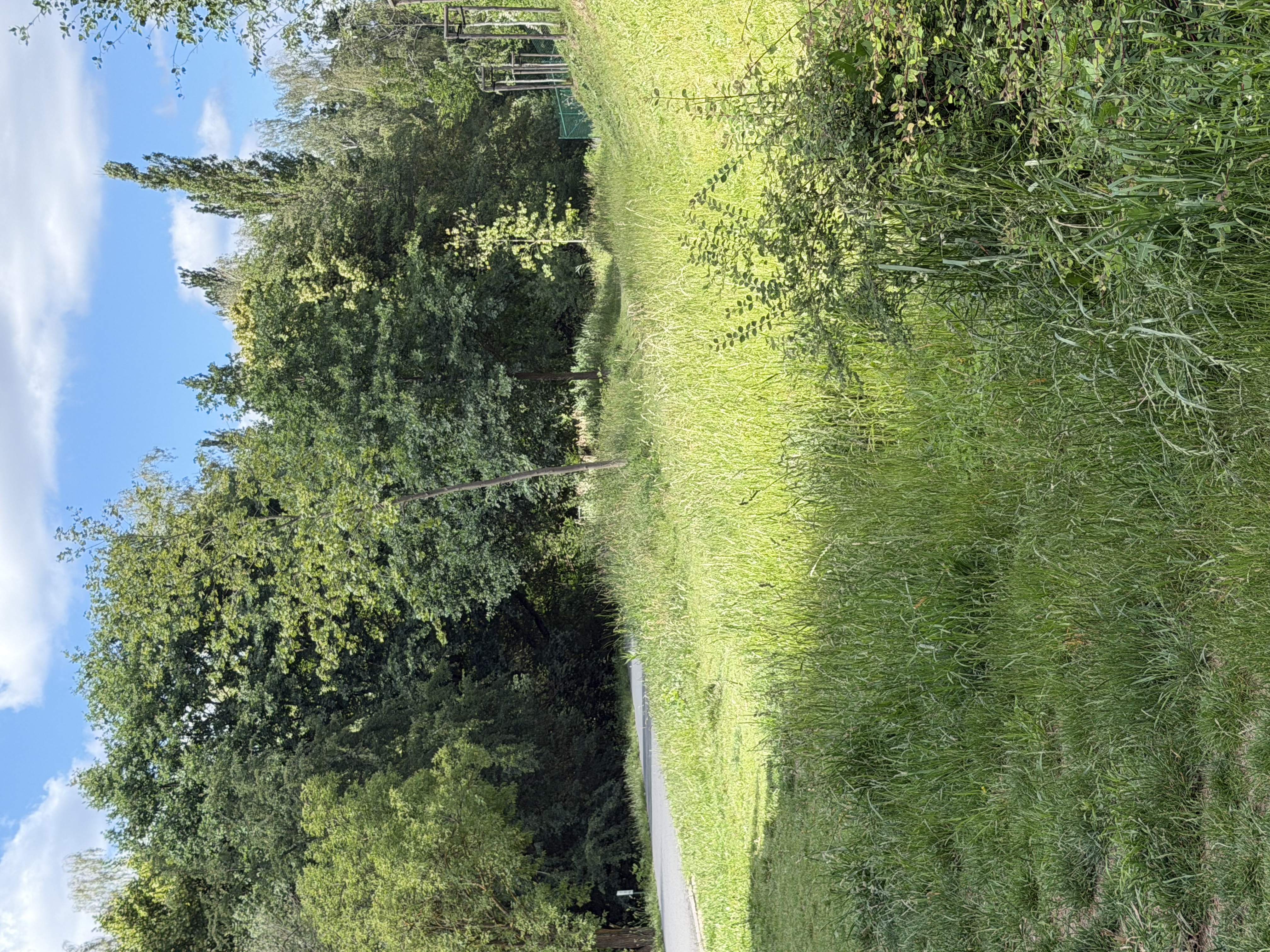 Seč