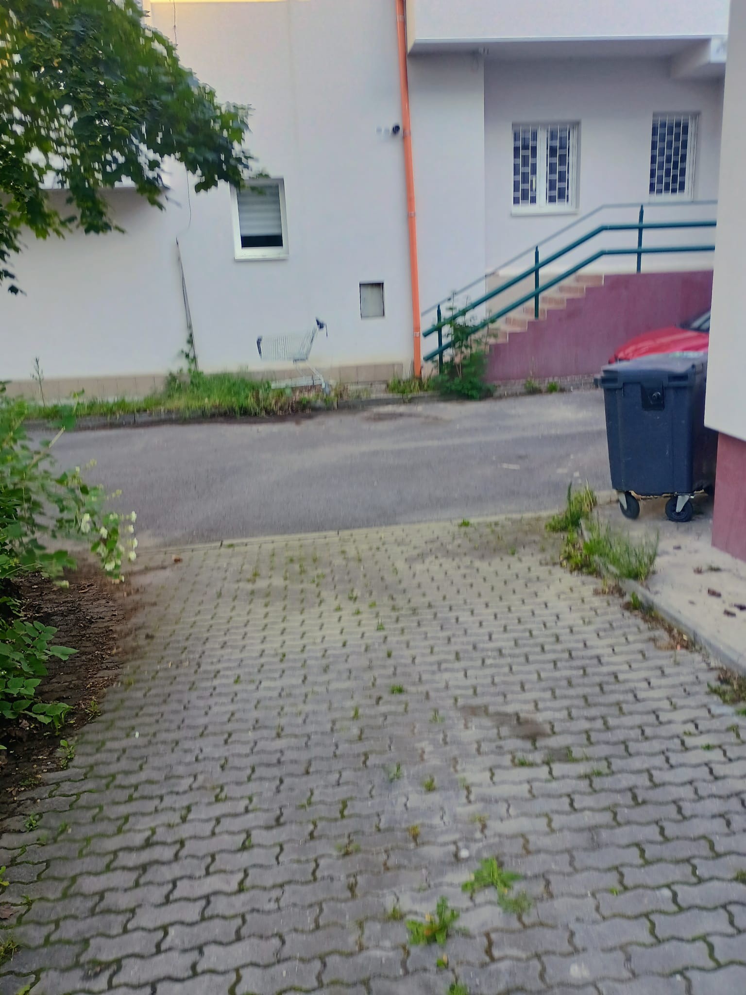 Nepořádek