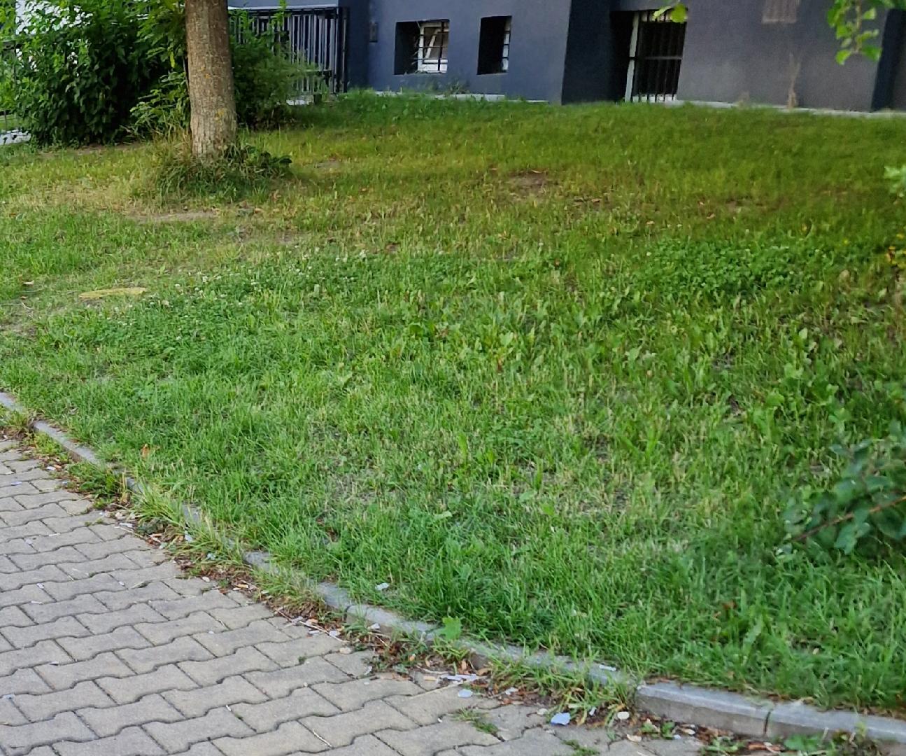 Obrovské množství nedopalků 