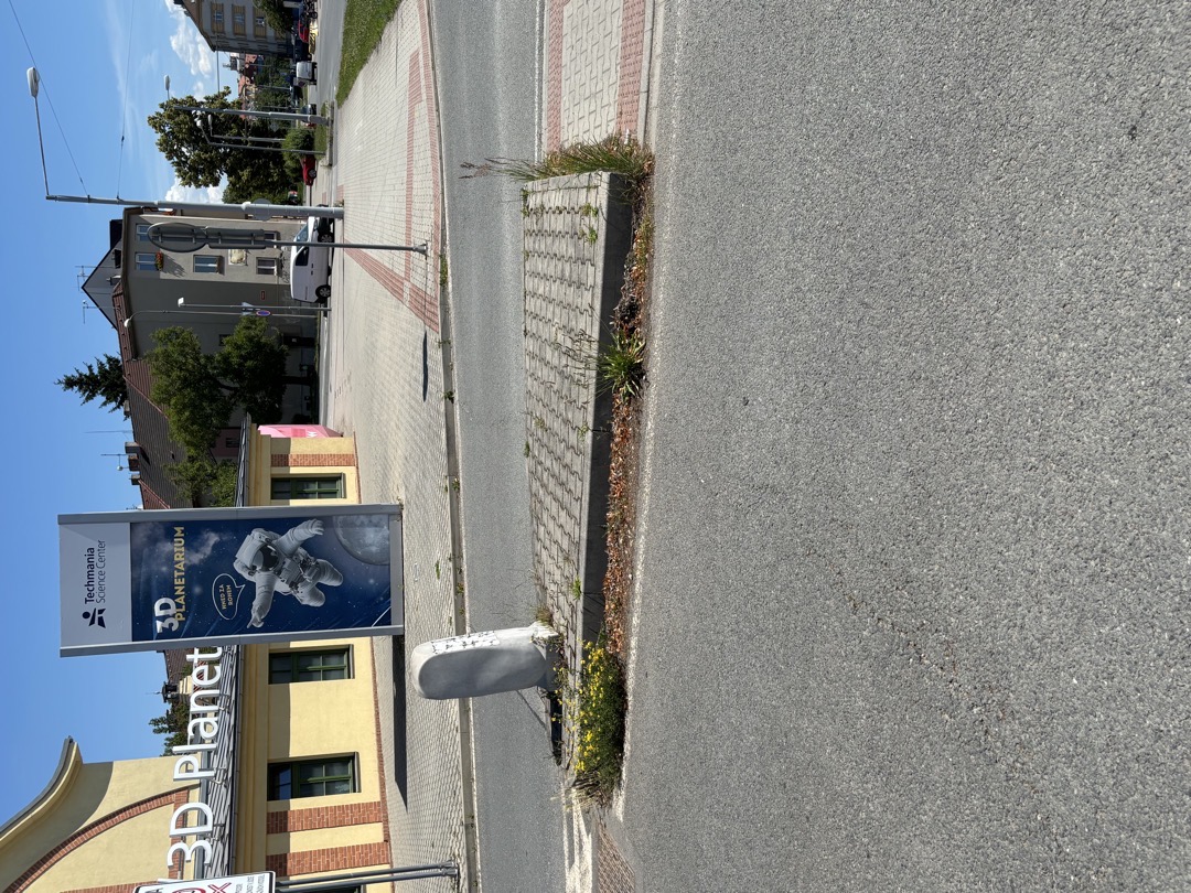 Zarostlá silnice