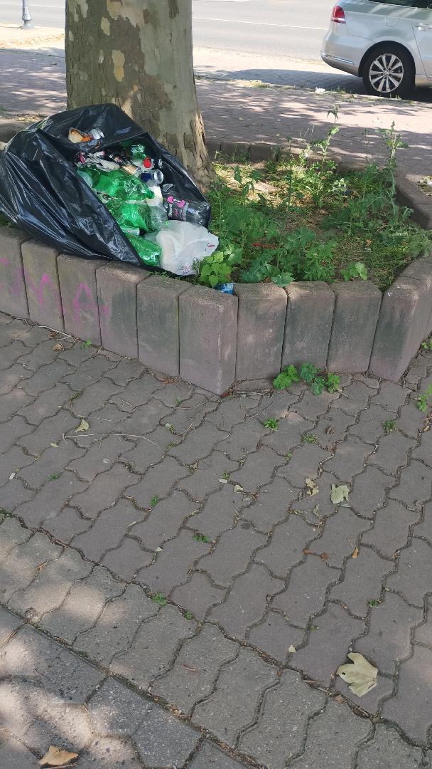 Fotografie nahlášení