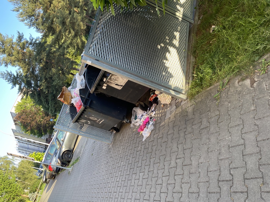 nepořádek