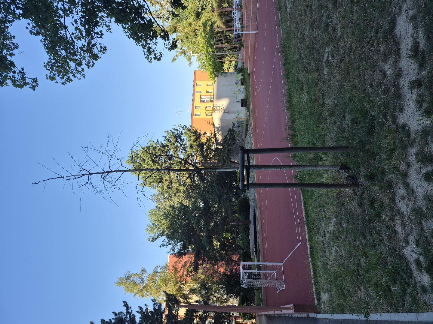 Uschlý strom
