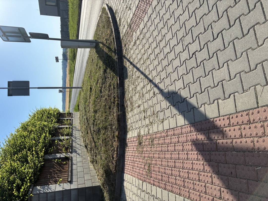 Neuklizená tráva