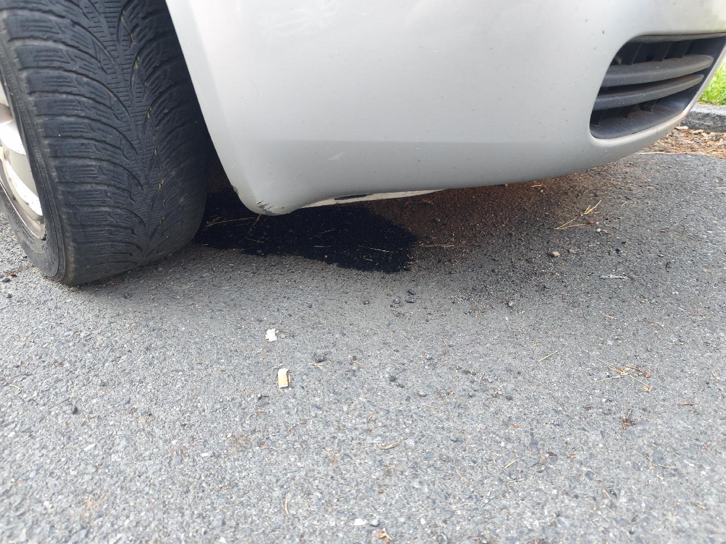 Únik kapalin z odstav. vozidla