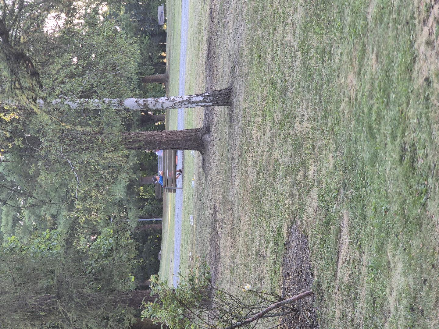 Neporadek park Homolka