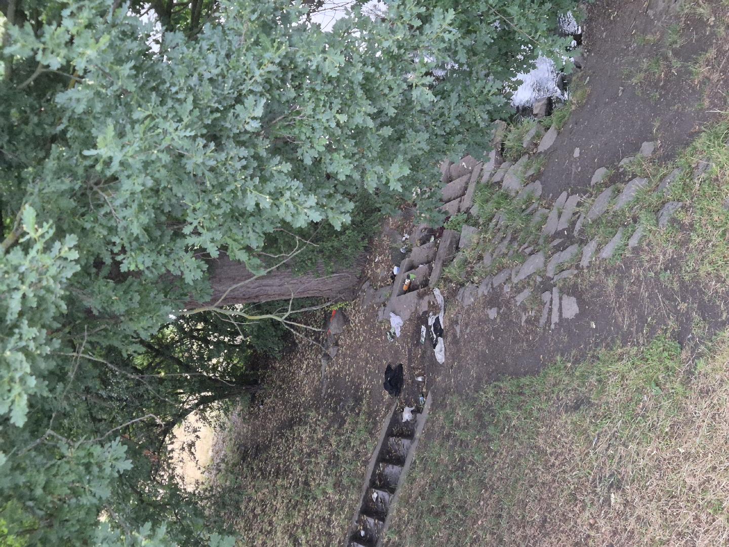 Nepořádek Papírenská