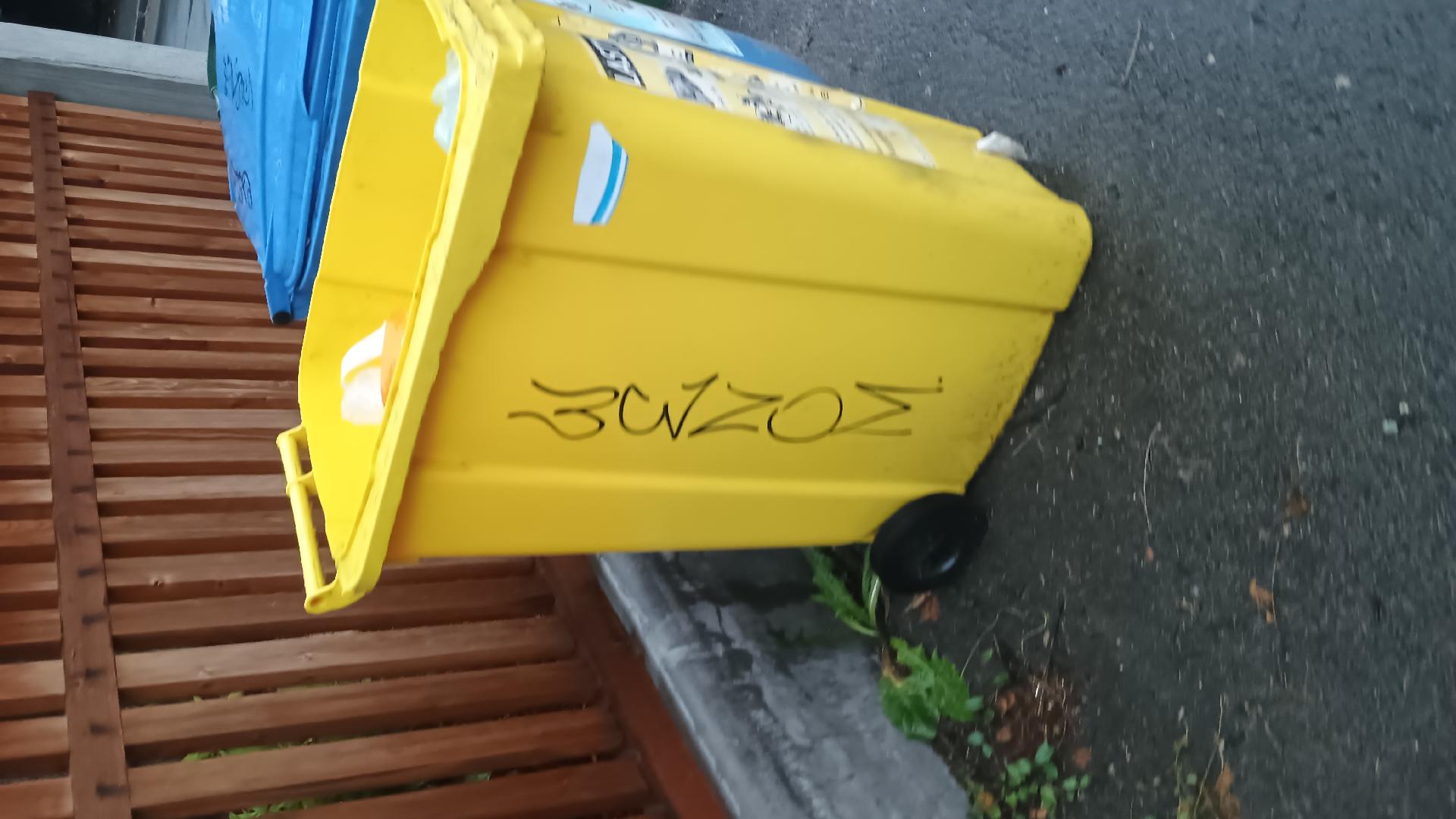 Popelnice na plast