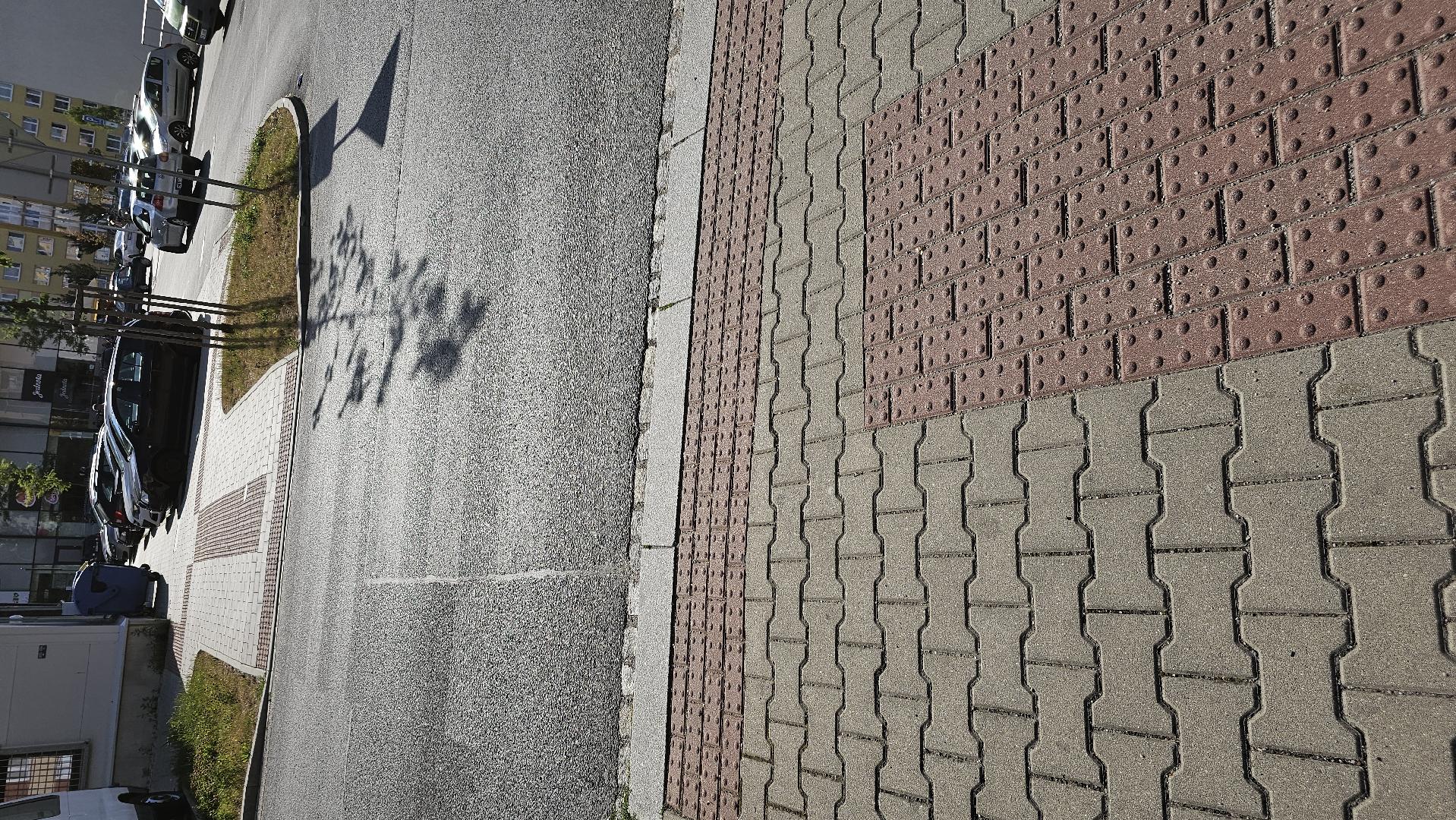Fotografie nahlášení