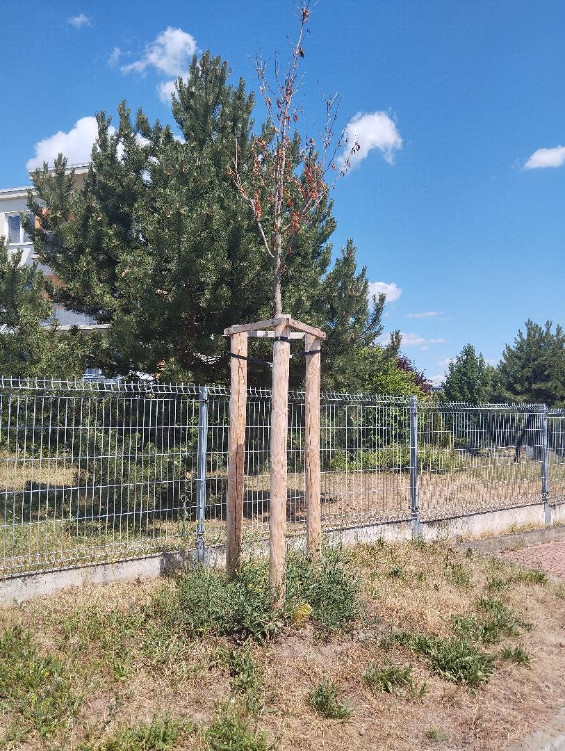 Fotografie nahlášení