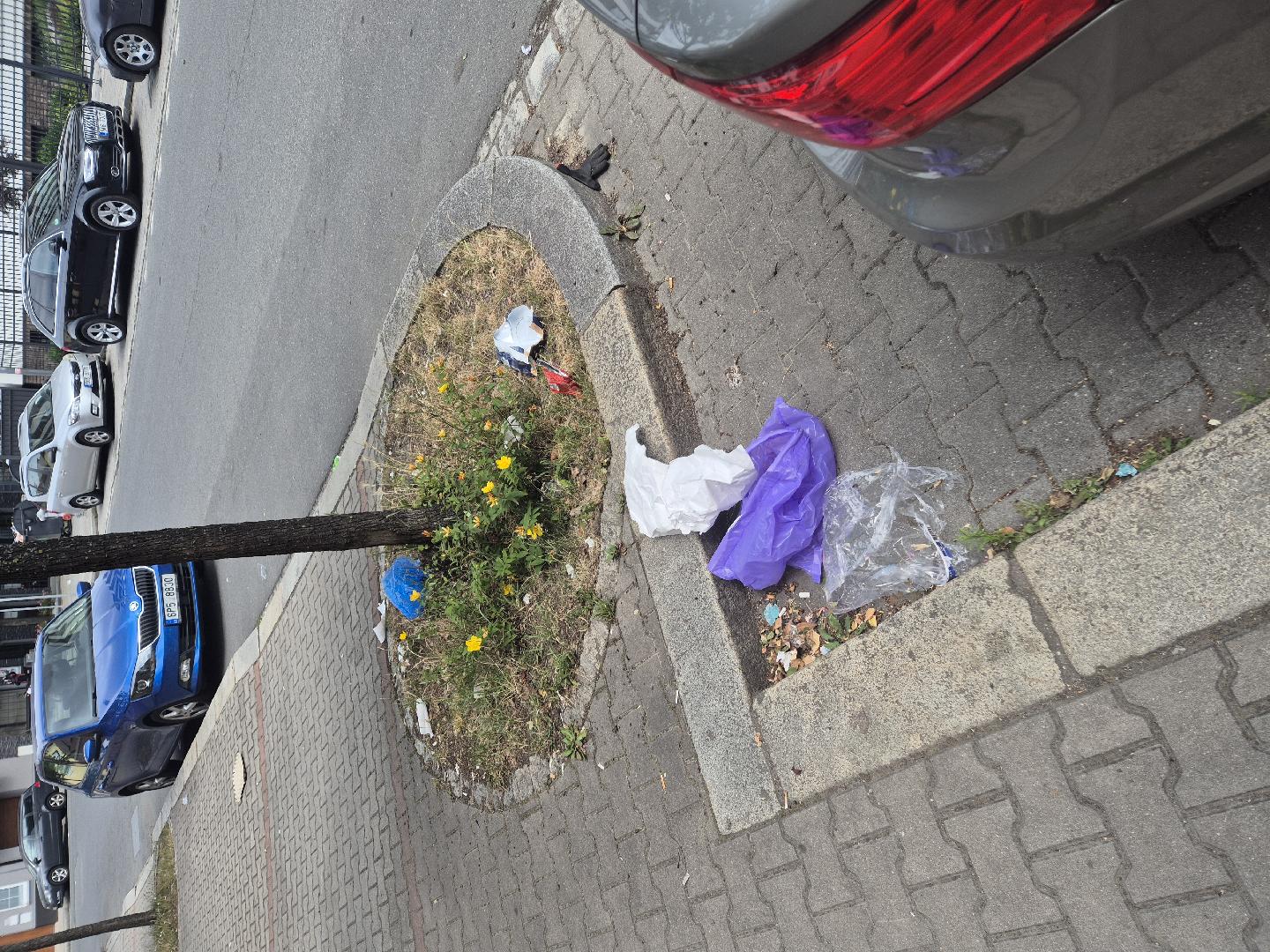 Přeplněné a otevřené kontejner