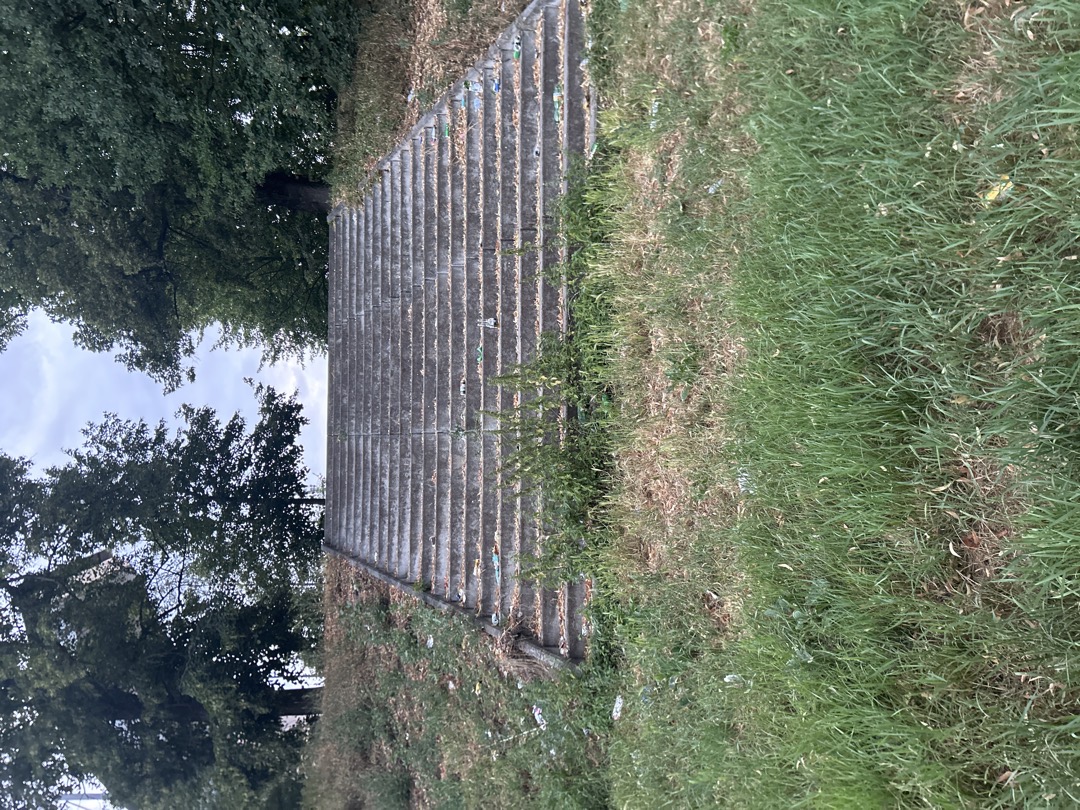 nepořádek 