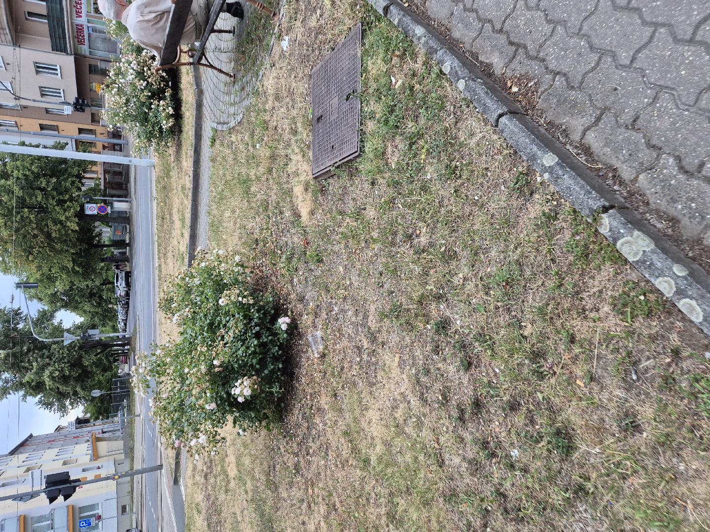 Parčík - Nepořádek