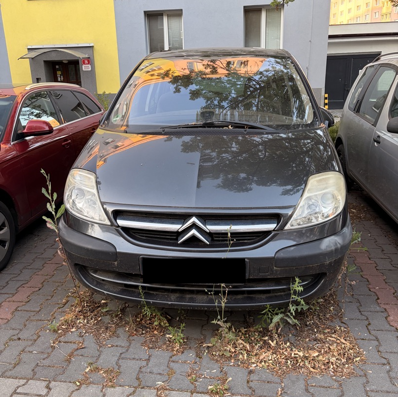 Asi vrak