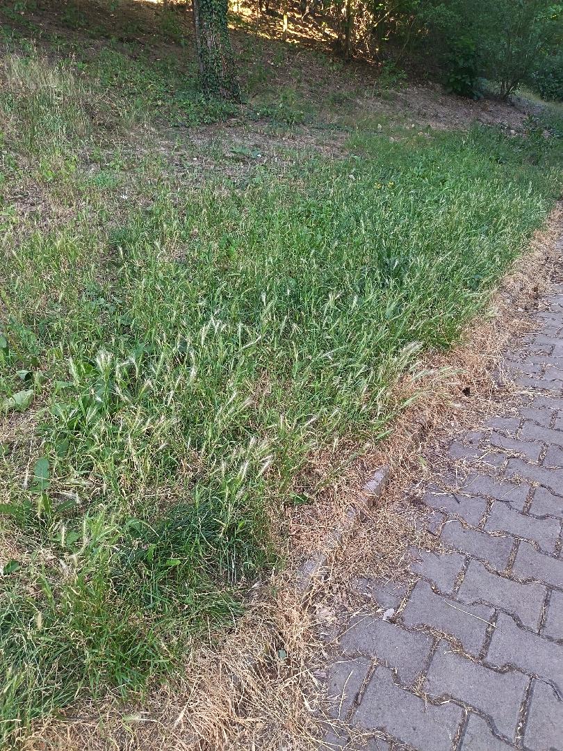 Fotografie nahlášení