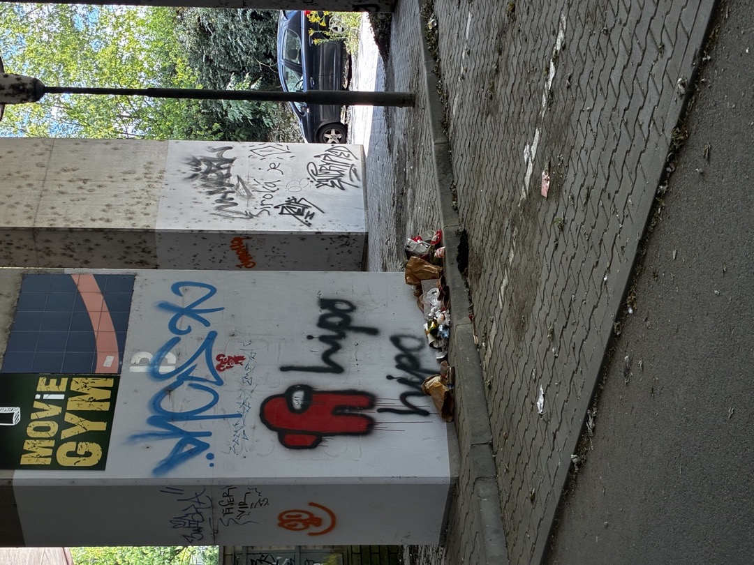 nepořádek 