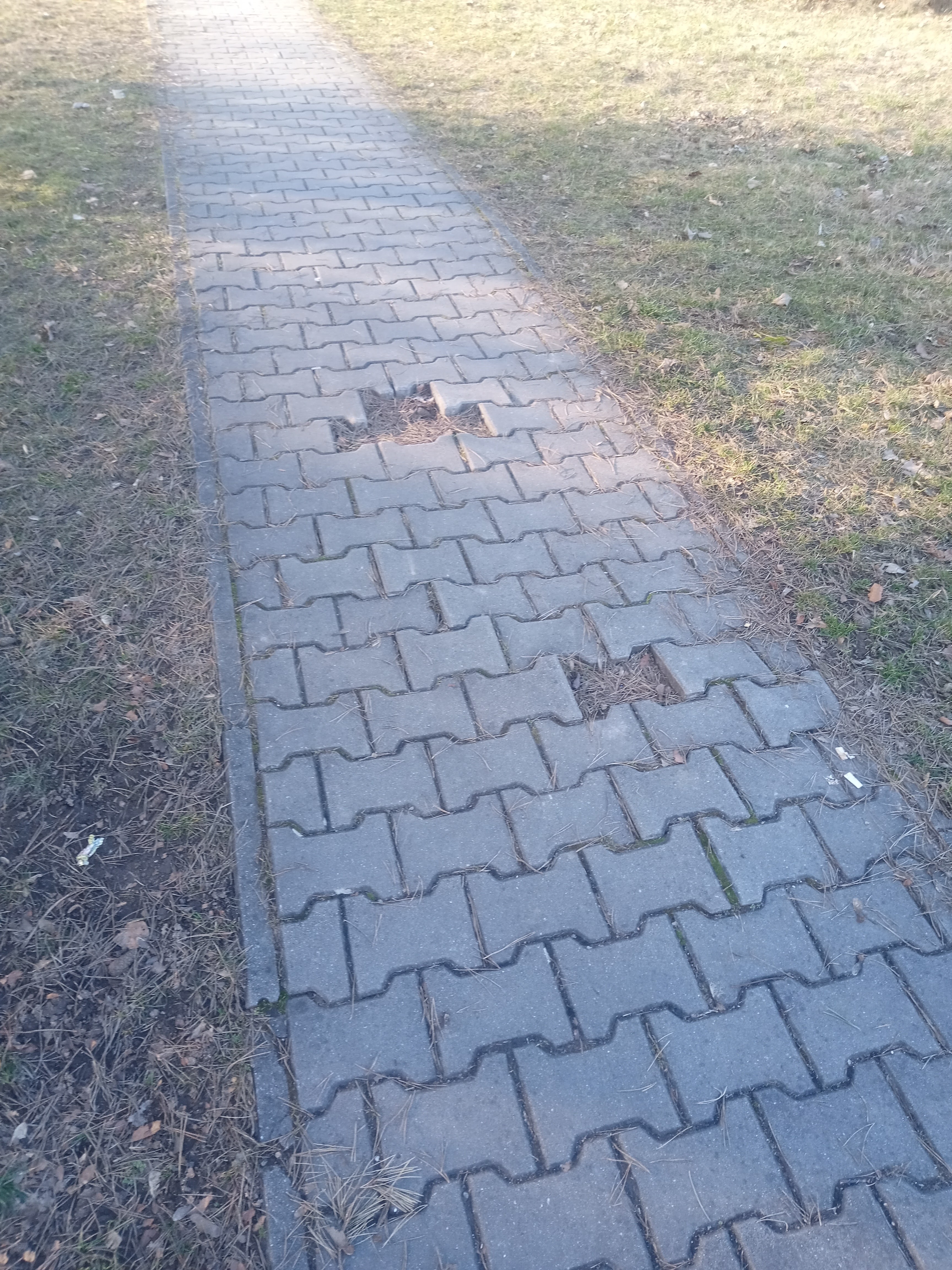 zámková dlažba