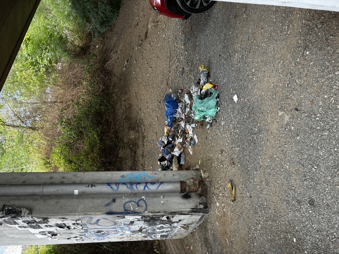 Nepořádek