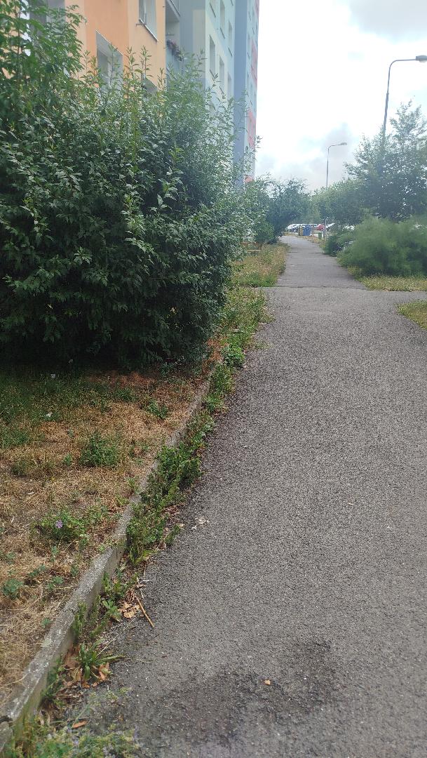 Kantovaní