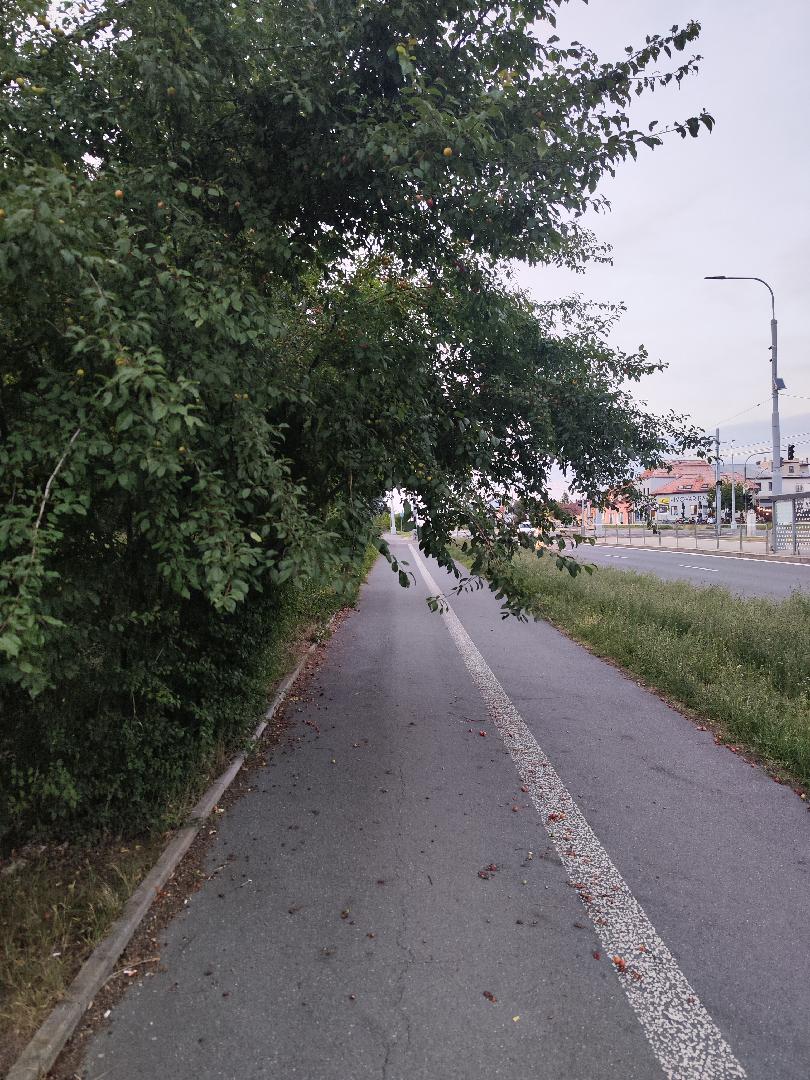 Fotografie nahlášení