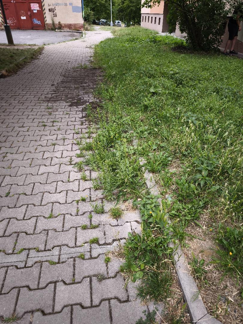 zarůstající zámková dlažba 