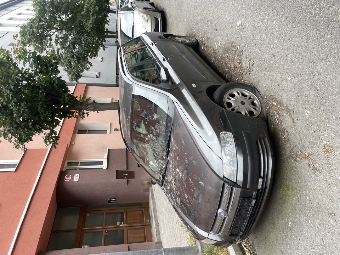otstavene auto, žrot