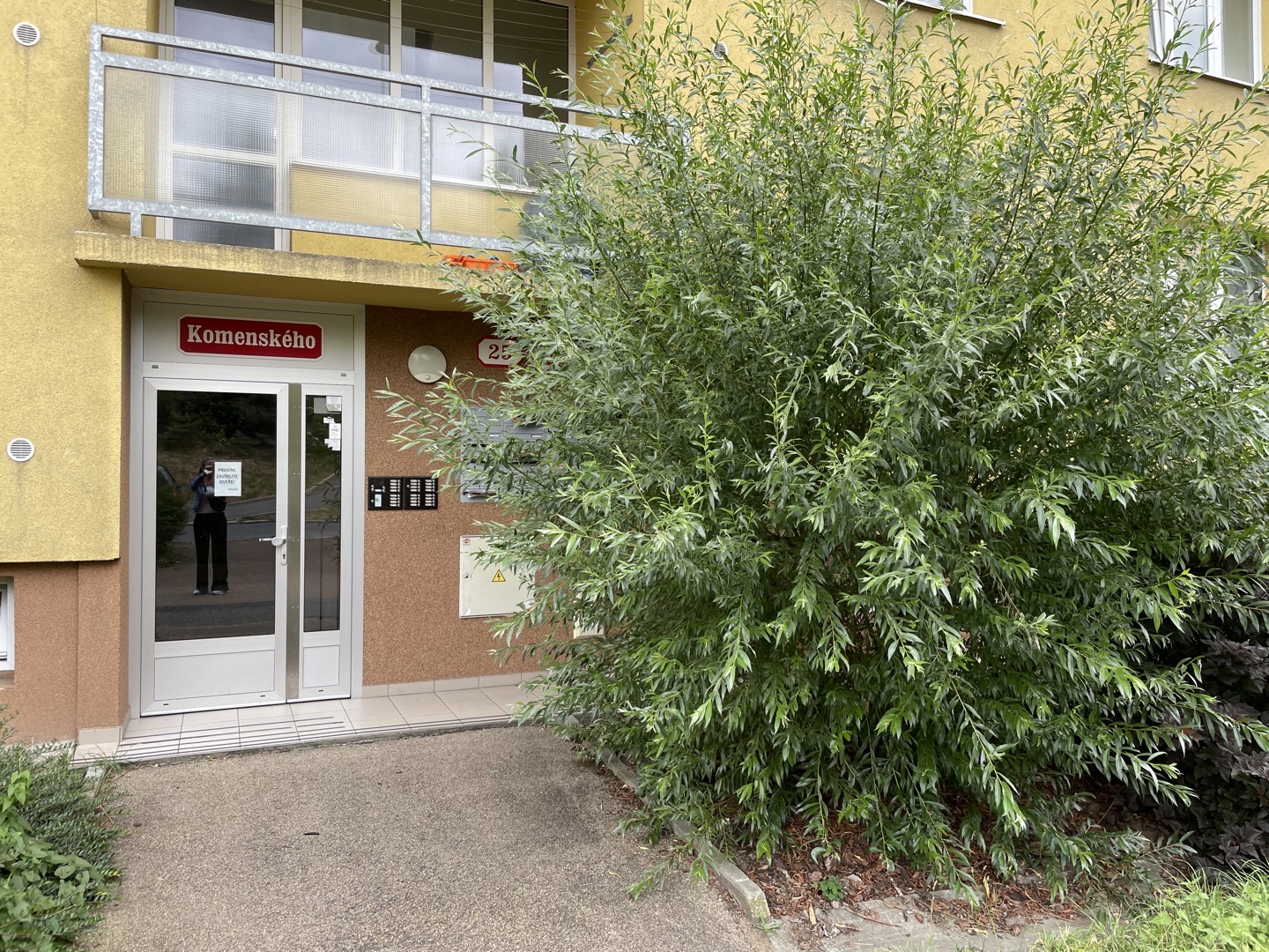 Nevhodně zvolená zeleň 