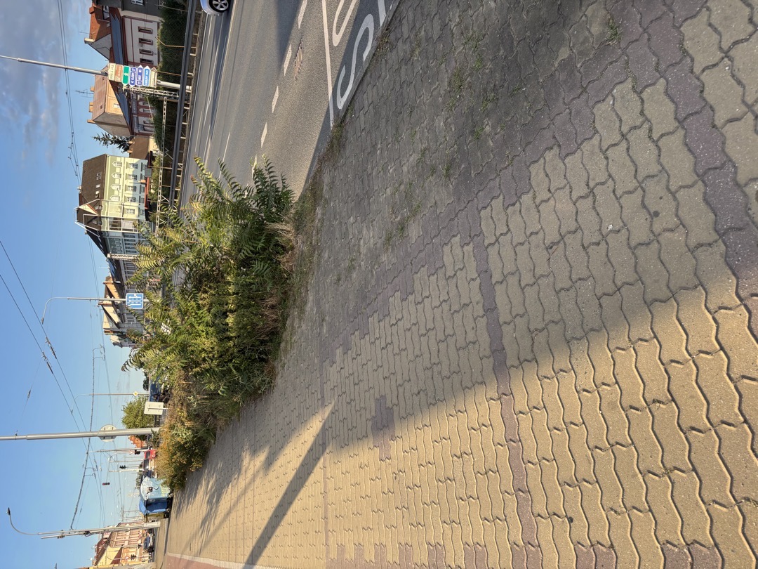 Fotografie nahlášení
