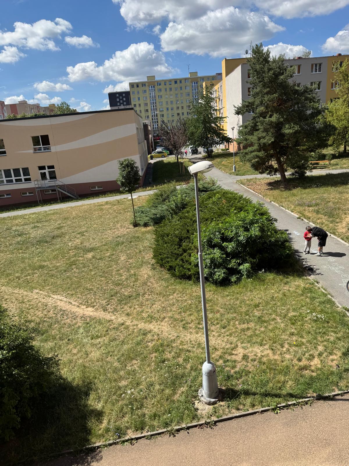 Neudržovaný keř