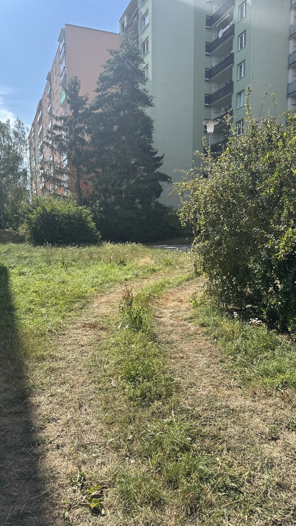Fotografie nahlášení