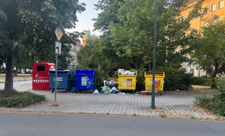 Nepořádek u popelnic