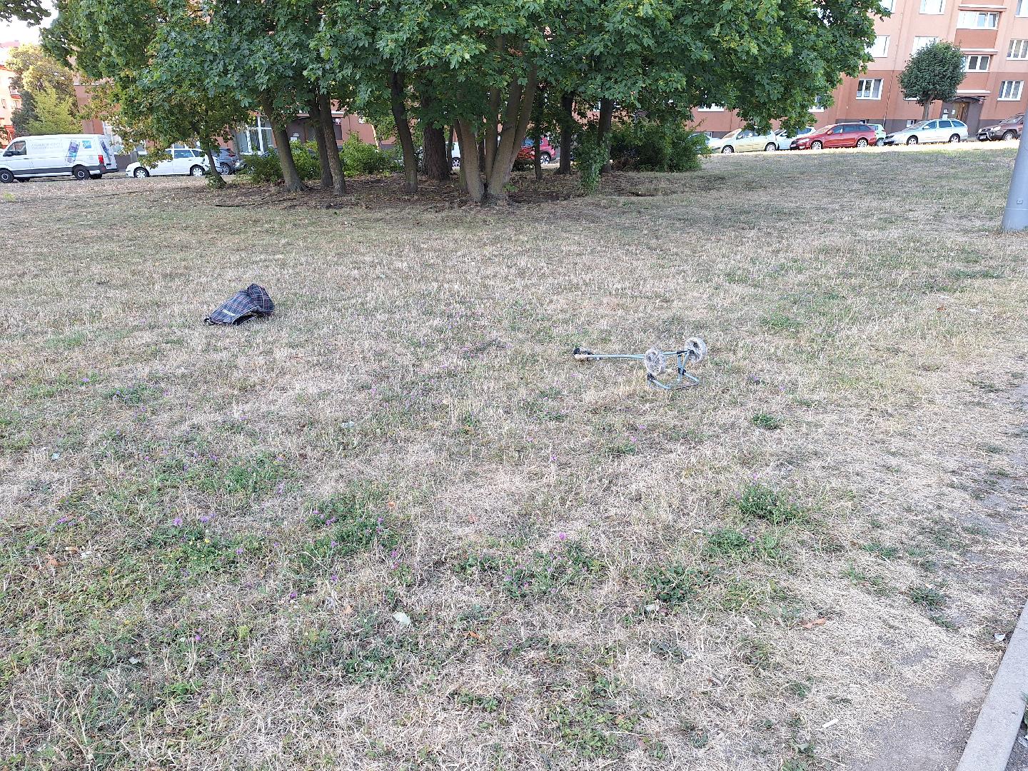 nepořádek