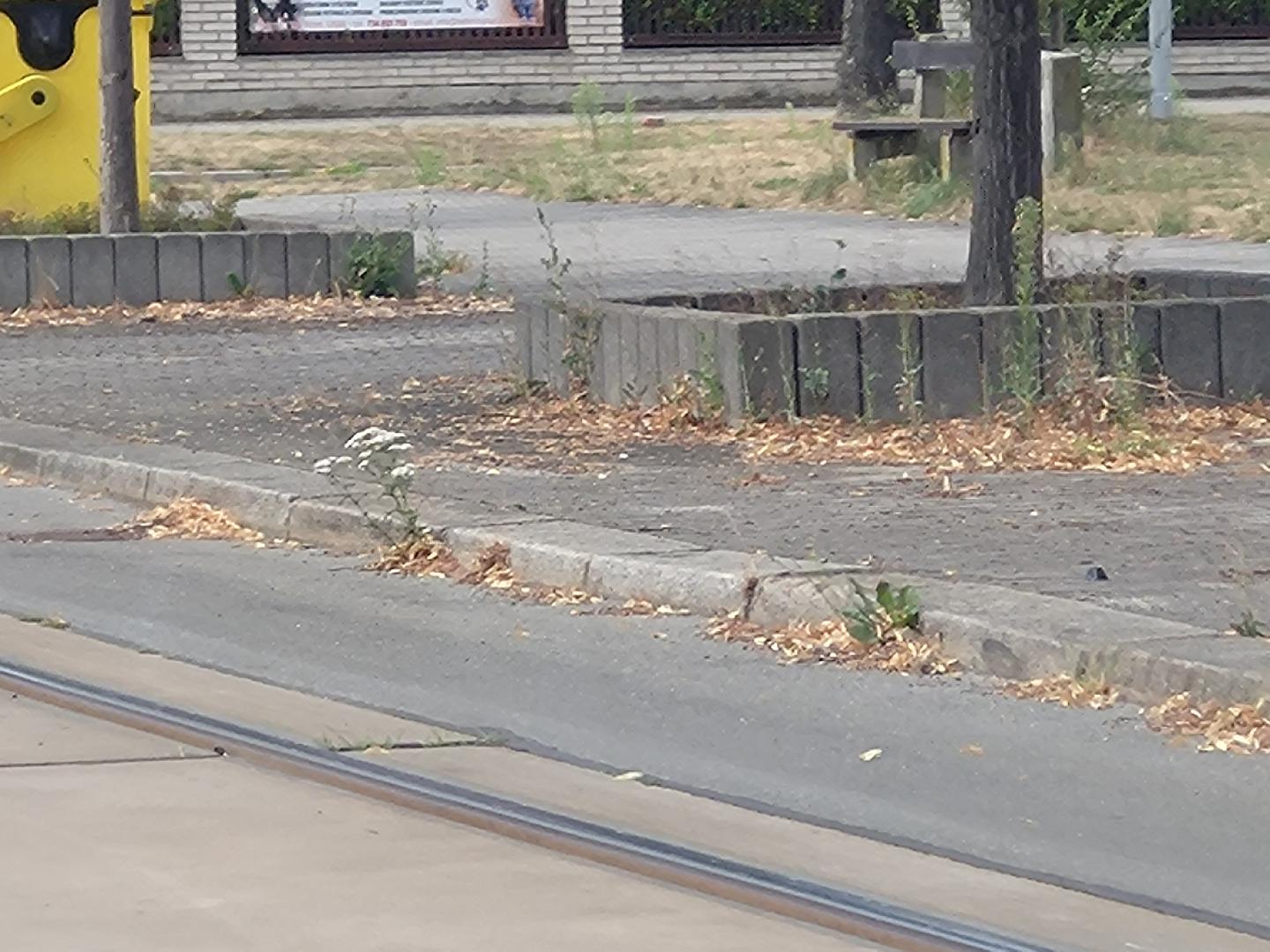 Fotografie nahlášení