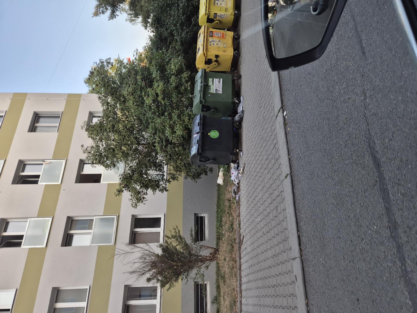 Vyházená popelnice