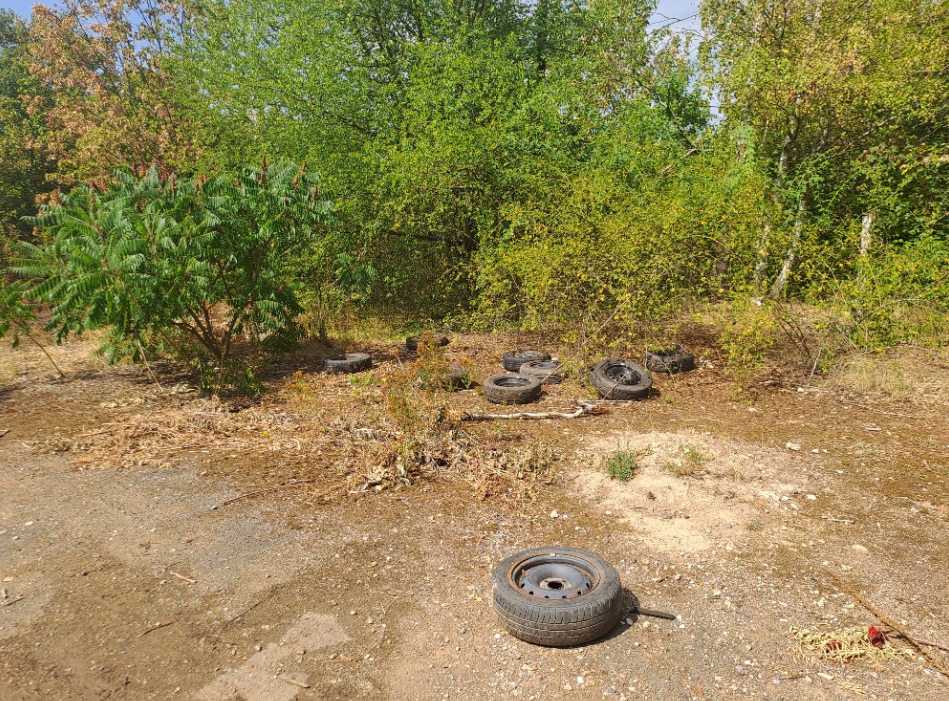 10 pneumatik