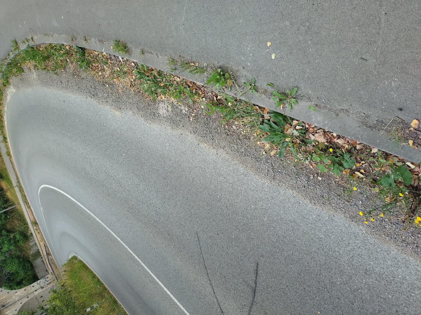Nájezd z Vejprnické na Regensb