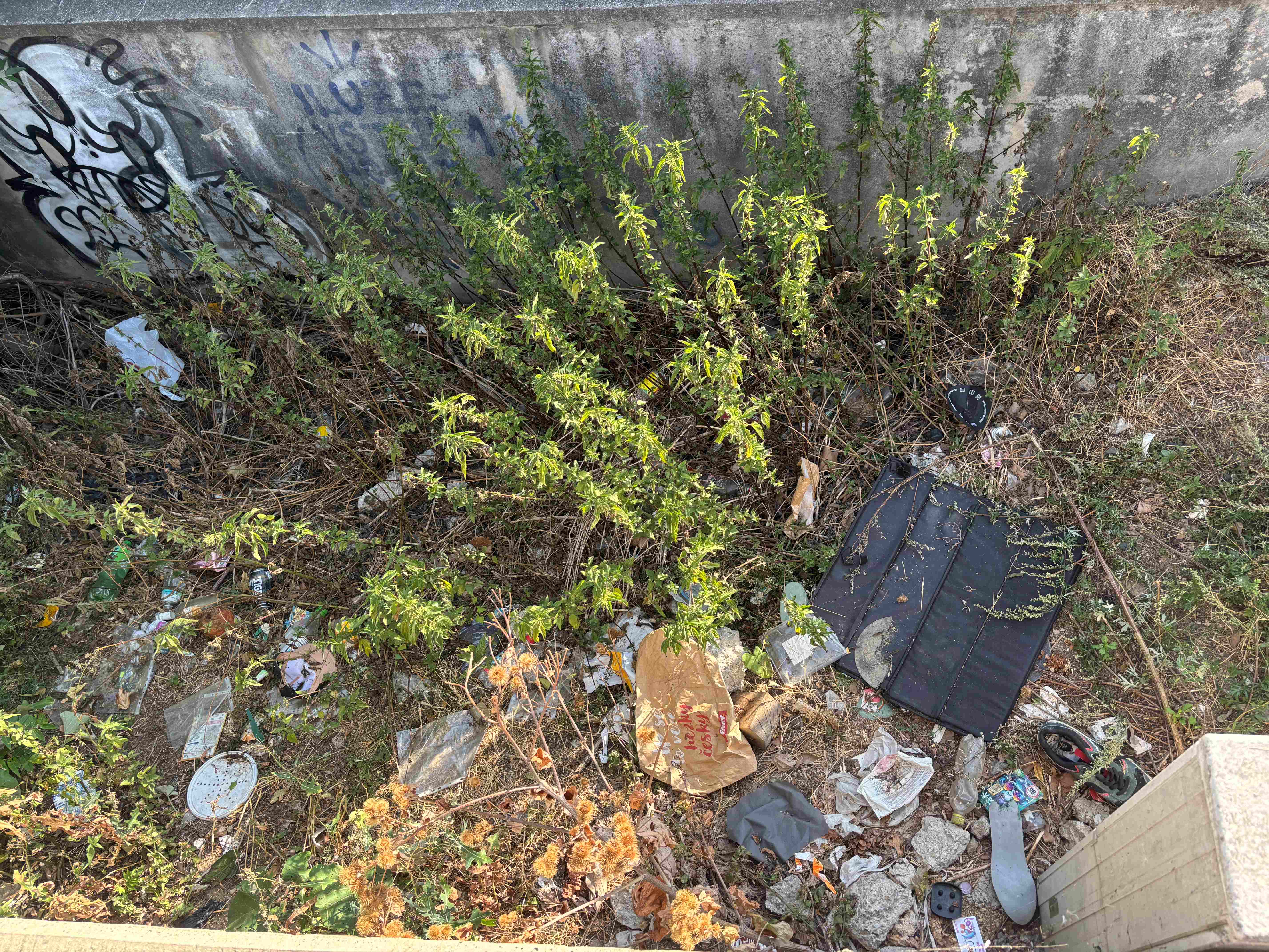 Odpadky