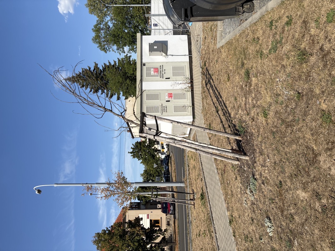 poskozeny strom