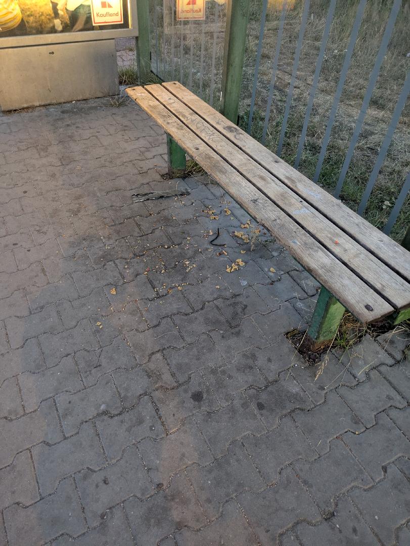nepořádek na zastávce