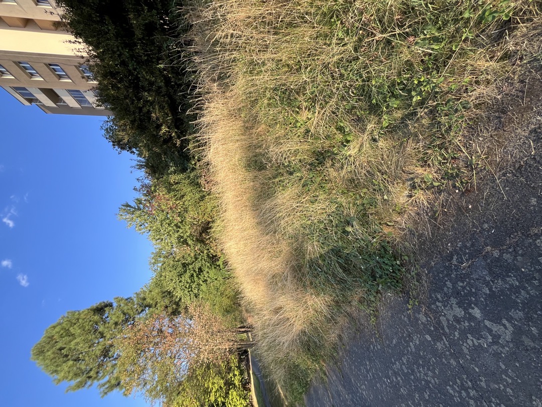 Fotografie nahlášení