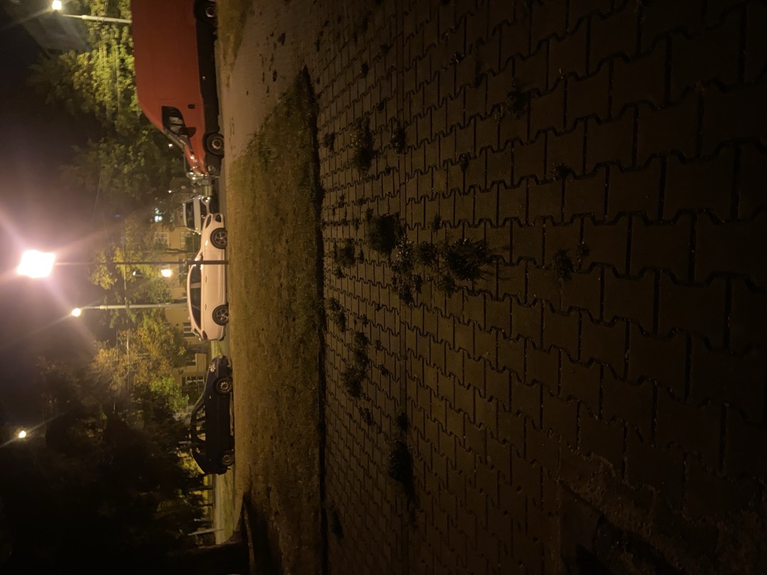 likvidace plevele 