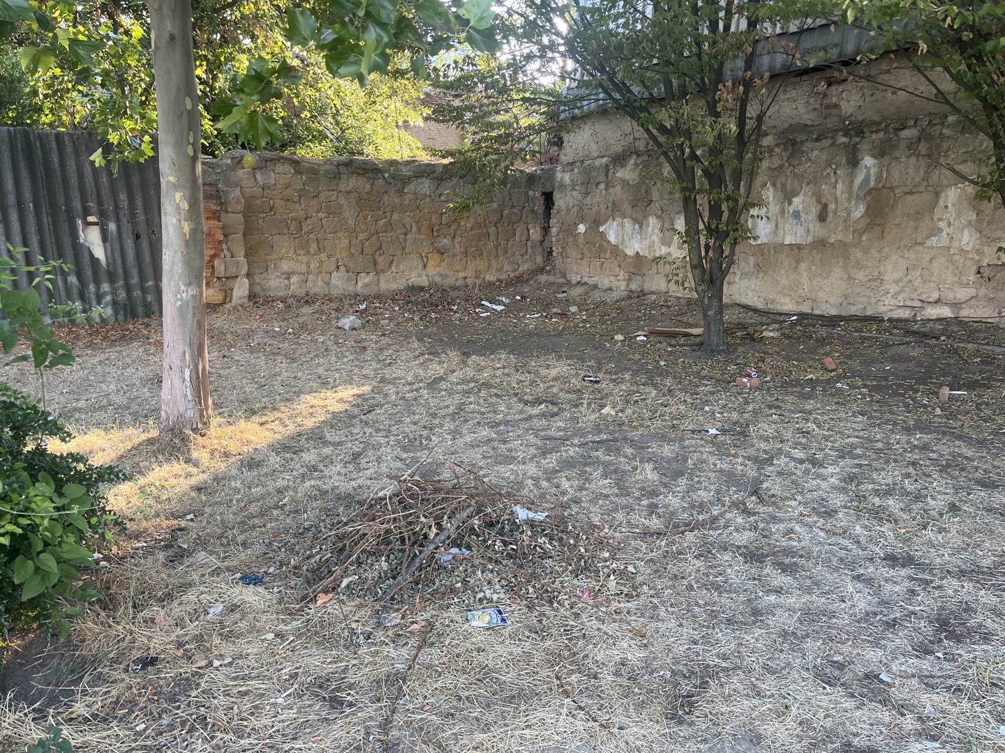 Nepořádek