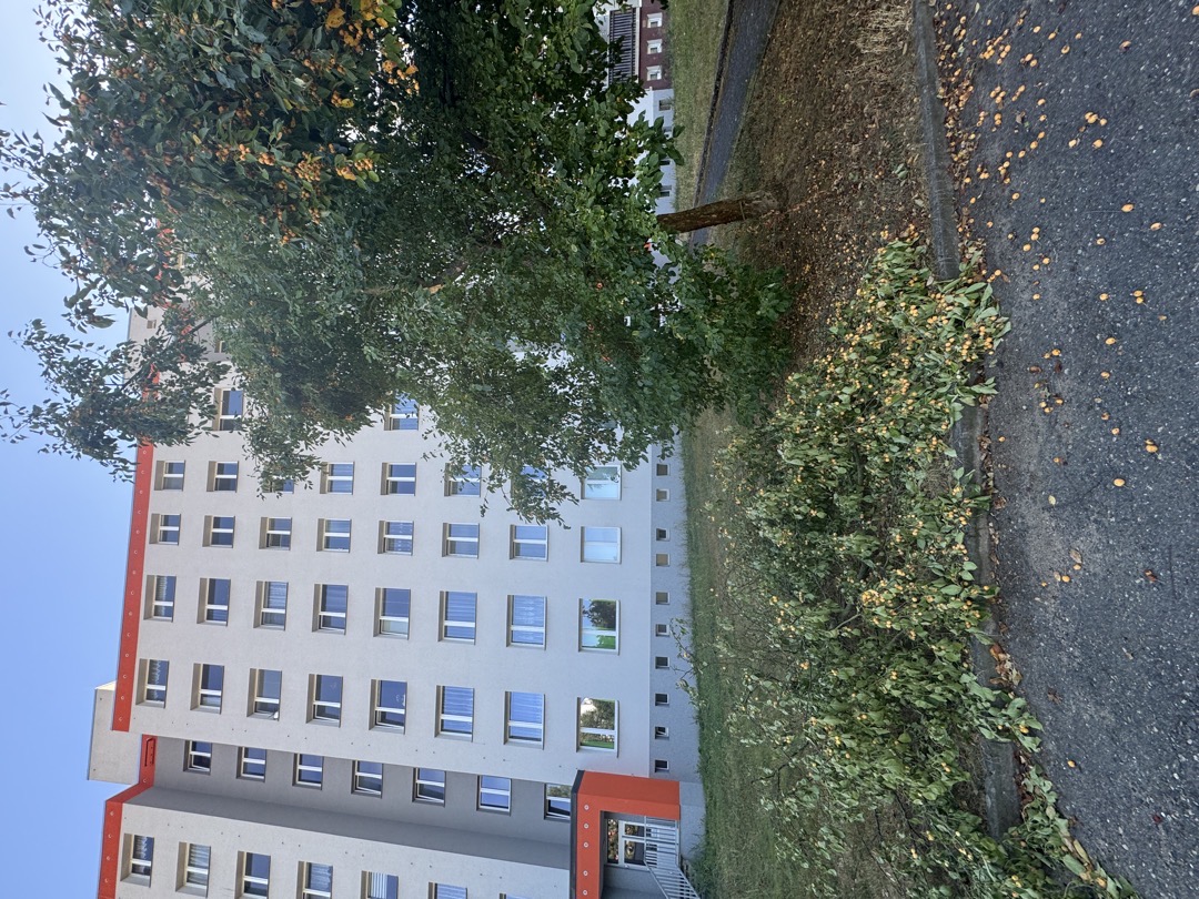 Fotografie nahlášení