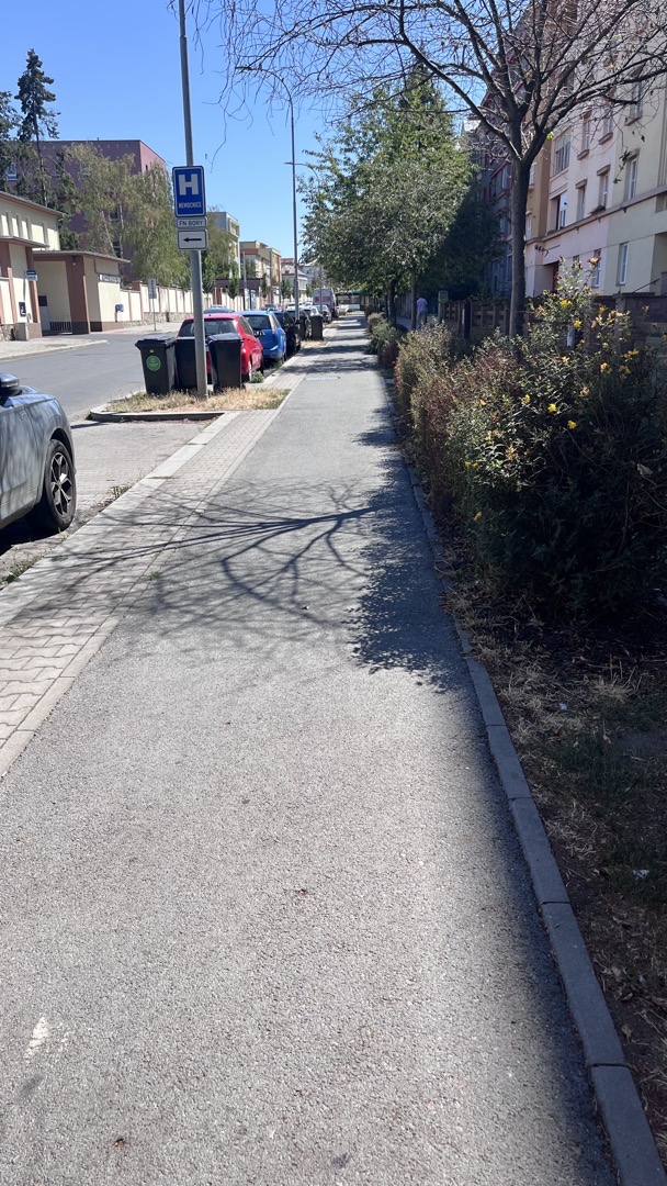 Chybějící piktogramy