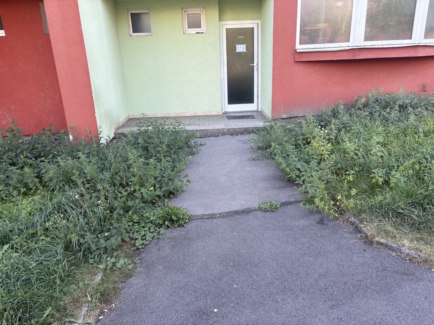 Kopřivy
