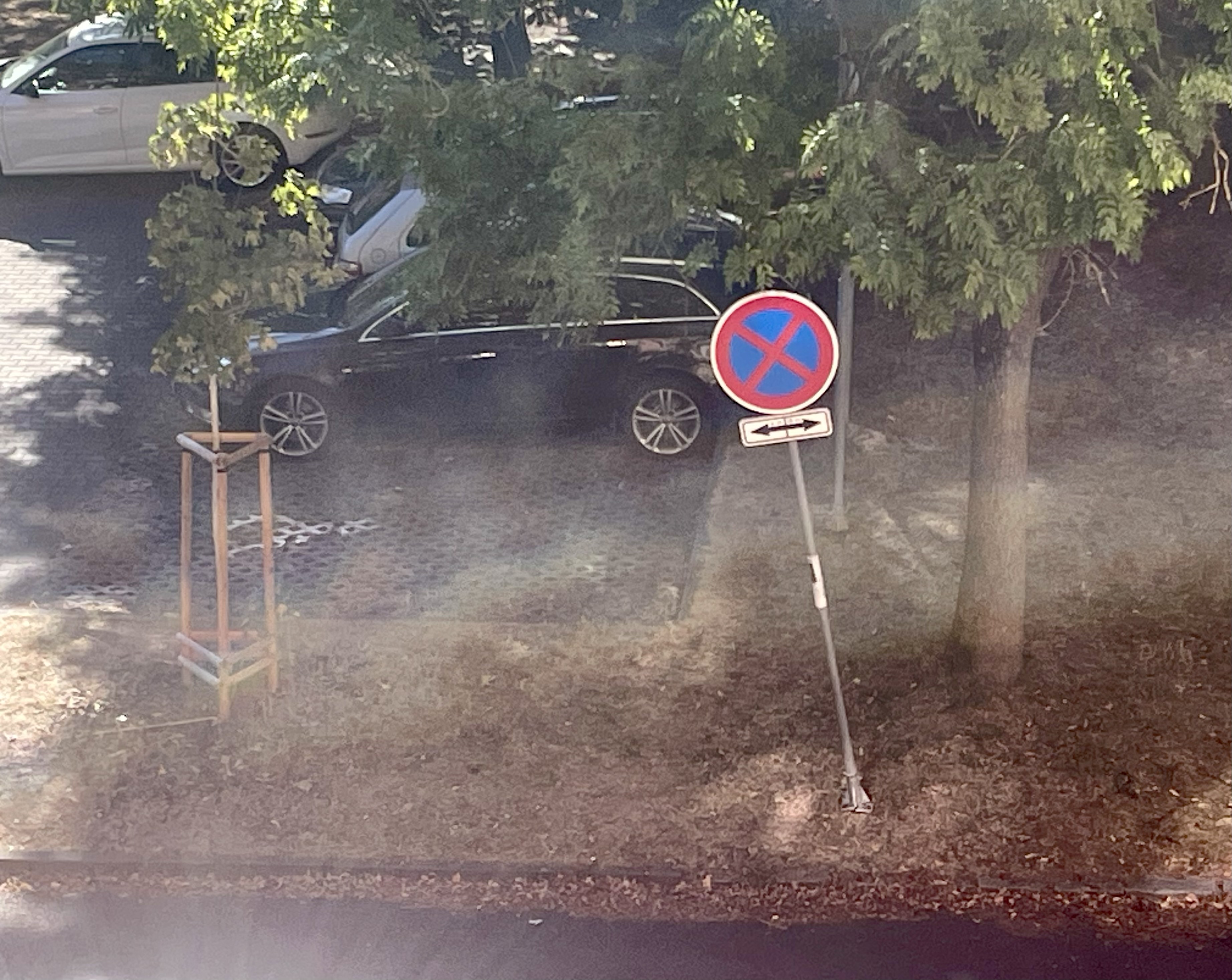 Fotografie nahlášení